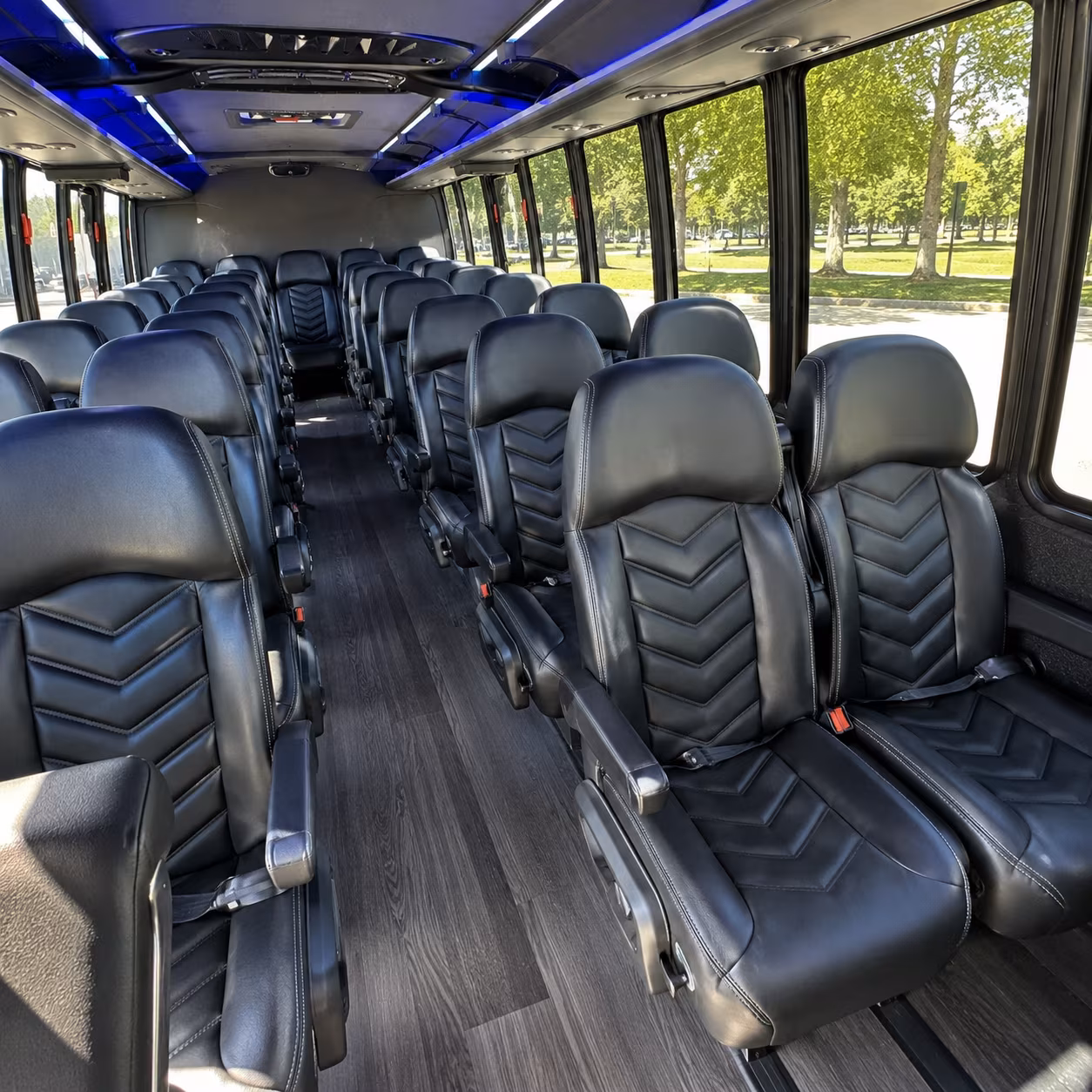 charter buses to fredericksburg and texas hill country wineries from pearland