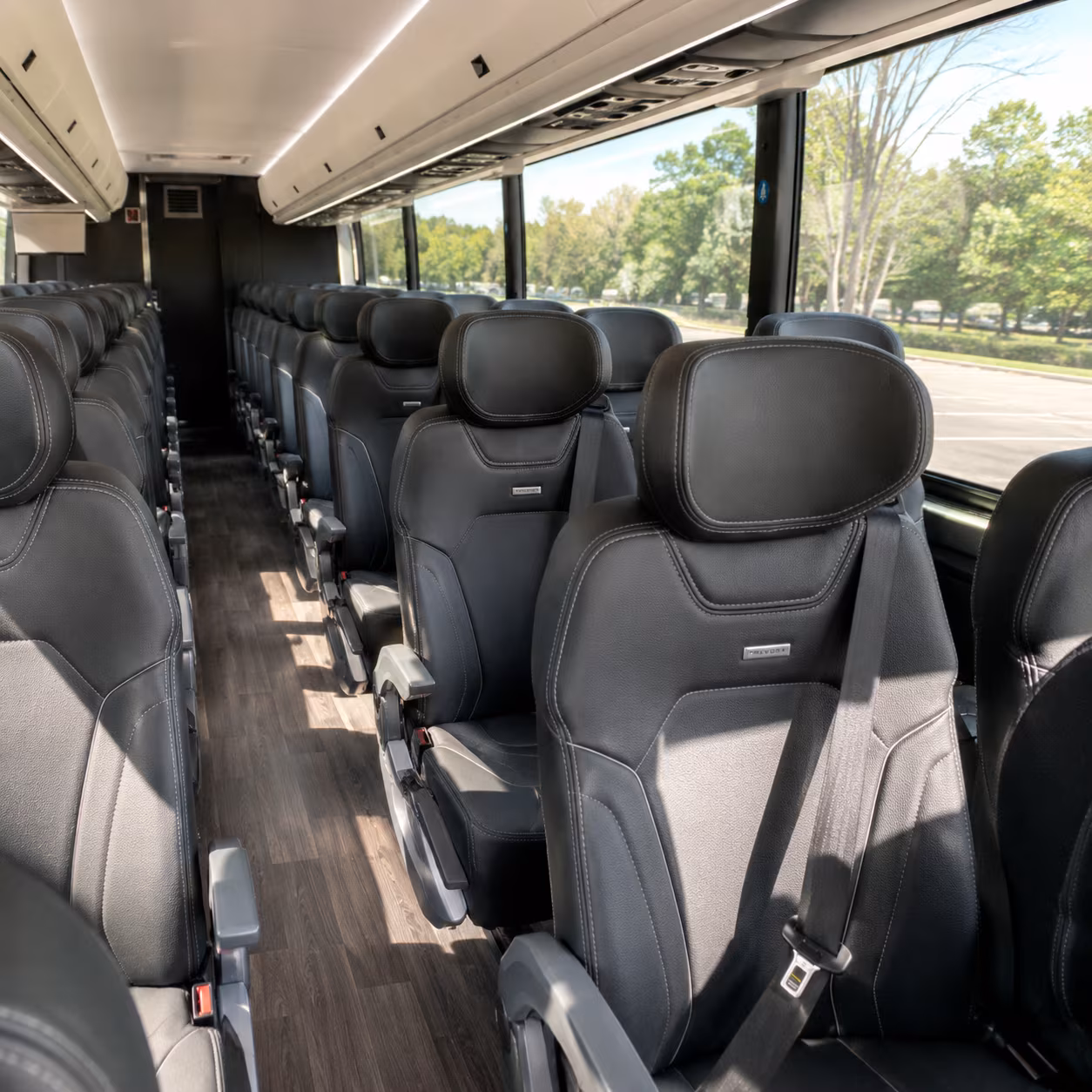 overnight and long haul bus trips from pearland to the gulf coast and beyond